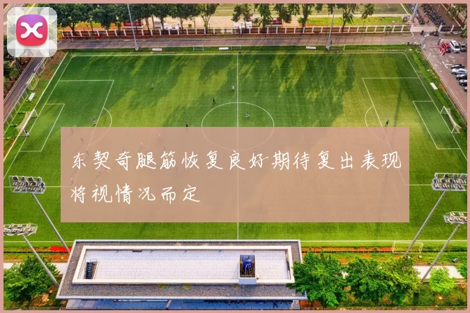 东契奇腿筋恢复良好期待复出表现将视情况而定