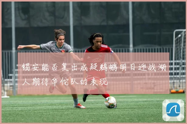 锡安能否复出成疑鹈鹕明日迎战湖人期待华佗队的表现
